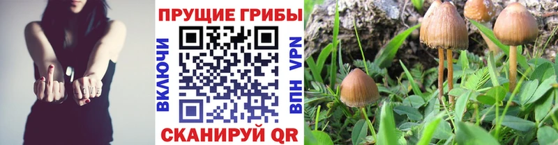 мега сайт  Кирс  Галлюциногенные грибы MAGIC MUSHROOMS 